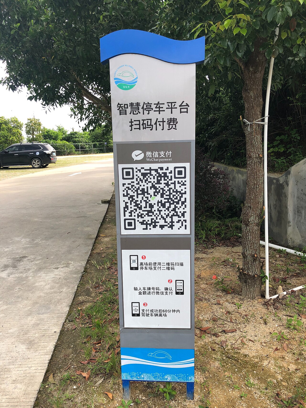 Scan and go